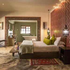 Hotel Singa - Lion Roars &